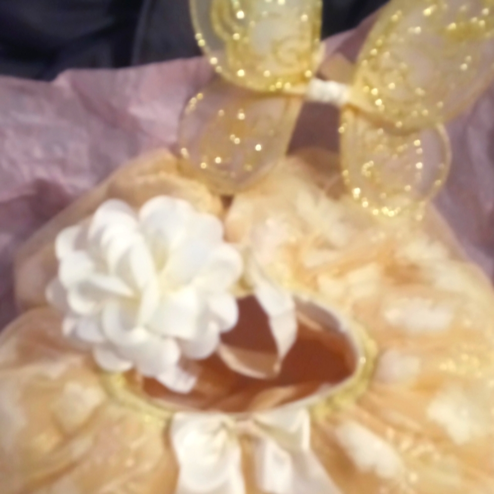 Infant tutu and wings